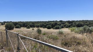 Terreny residencial  De los olivares. Terreno a la venta hormigos, toledo.