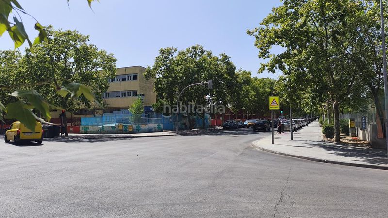 Foto 10b76c30-8955-447f-8d96-10b1005ddc3f. Pis a Arcos Madrid