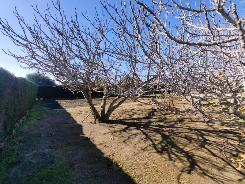 Foto c5d6317a-1195-441b-b574-ed91c24f7687. Casa amb aparcament a Vejer Vejer de la Frontera