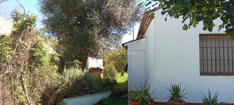 Foto b79b14e5-dec2-416f-abf7-aaf99318ac53. Casa con camino parcheggio in Zahora Barbate