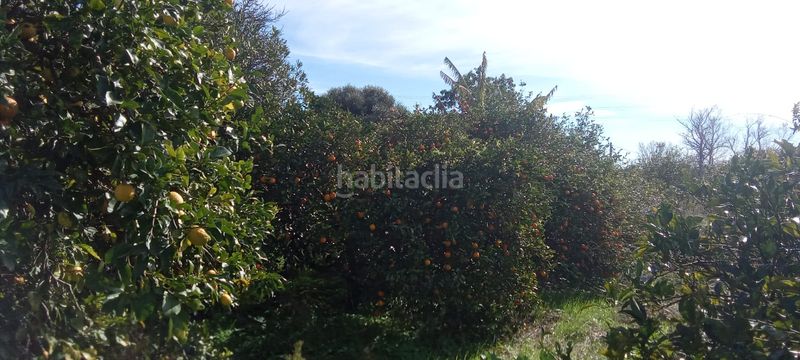 Foto 1b068ca0-722c-48ce-8fcd-c0e01da817bc. Casale con parcheggio in Vejer Vejer de la Frontera