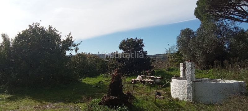 Foto 202181d7-fe0d-4ffc-a43e-785d5c054422. Casale con parcheggio in Vejer Vejer de la Frontera