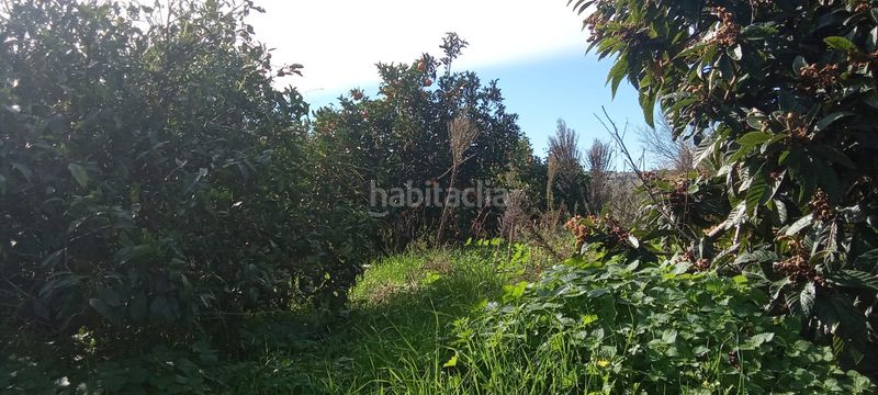Foto 27683cdb-5db6-417c-a577-53f932606a1c. Casale con parcheggio in Vejer Vejer de la Frontera