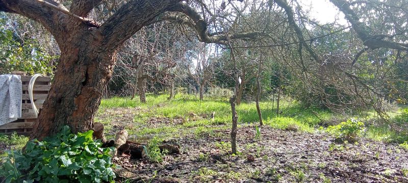 Foto 282db995-33f8-45b8-bd9e-e0383c84abb8. Casale con parcheggio in Vejer Vejer de la Frontera