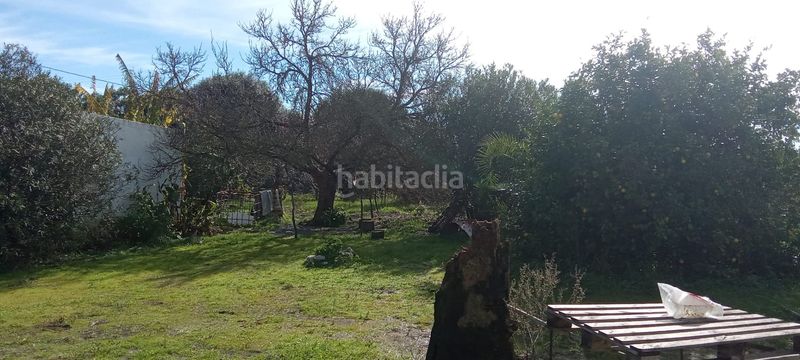 Foto 31d3ba8b-d99b-414f-bdf3-ada1e591ae6a. Casale con parcheggio in Vejer Vejer de la Frontera