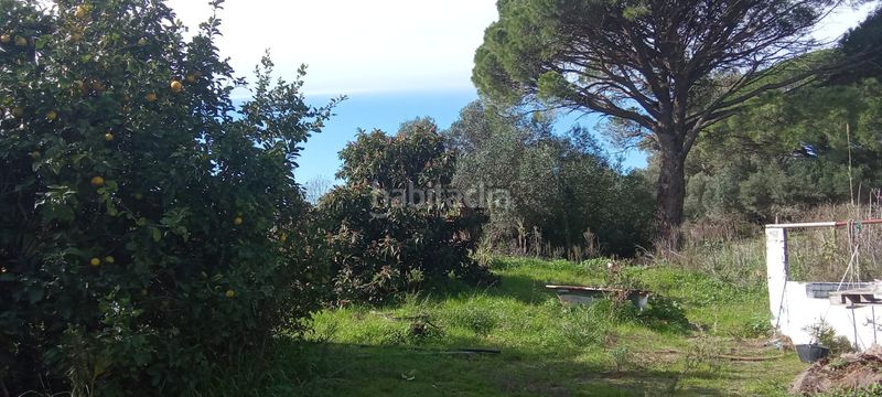 Foto 34d083f3-0a81-42d2-b5e4-d000c5f0373c. Casale con parcheggio in Vejer Vejer de la Frontera