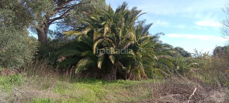 Foto 397100d4-ae01-4070-914a-7d9b906cd628. Casale con parcheggio in Vejer Vejer de la Frontera