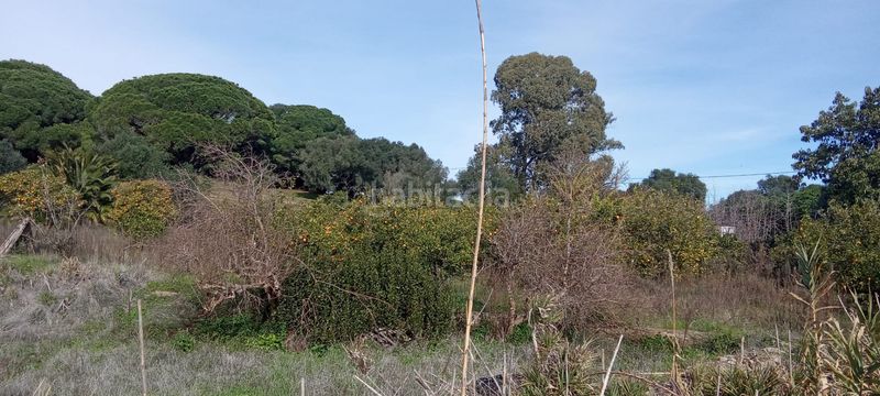 Foto 3cd7fa77-affe-4720-8fc1-b42519e7f605. Casale con parcheggio in Vejer Vejer de la Frontera