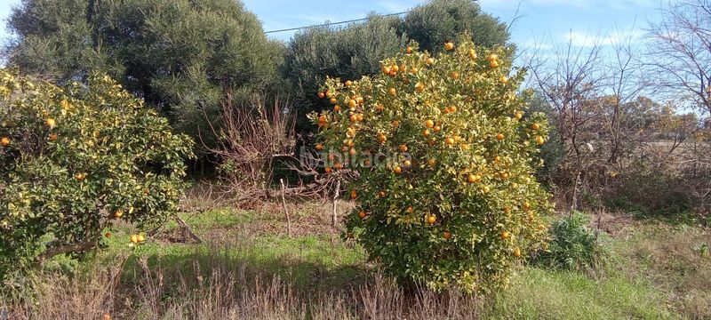 Foto 757b853d-5ca6-4766-b4b8-8c45e13b9106. Casale con parcheggio in Vejer Vejer de la Frontera