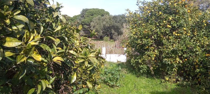 Foto 8c3082bb-1470-42a3-bc04-494eea69ca4e. Casale con parcheggio in Vejer Vejer de la Frontera