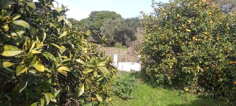 Foto 9caba622-6db5-48f7-91c9-016a81060ef1. Casale con parcheggio in Vejer Vejer de la Frontera