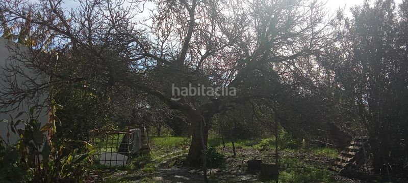 Foto b921e5bf-c354-4d1b-970d-fb2f9c984a52. Casale con parcheggio in Vejer Vejer de la Frontera