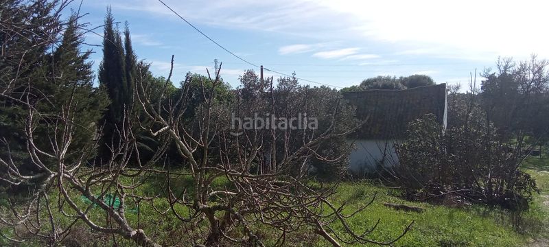 Foto bea54bd6-a608-4f84-b66e-fb3c19fede3e. Casale con parcheggio in Vejer Vejer de la Frontera