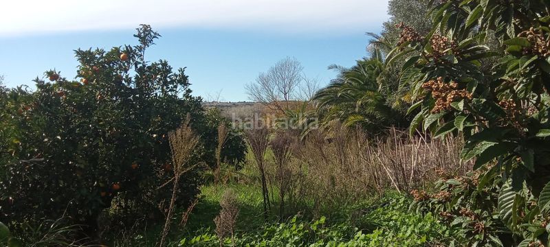 Foto c83e0f95-c1f5-4dd2-817a-61e4a3eb5c2d. Casale con parcheggio in Vejer Vejer de la Frontera