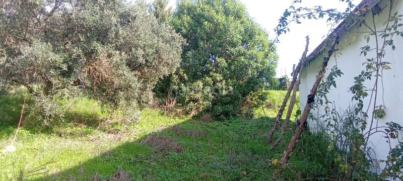 Foto c8478f02-af56-4671-88ea-d24a230a34f3. Casale con parcheggio in Vejer Vejer de la Frontera