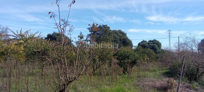 Foto ce5255ad-1cc6-4a7d-ac43-911320ab10c4. Casale con parcheggio in Vejer Vejer de la Frontera