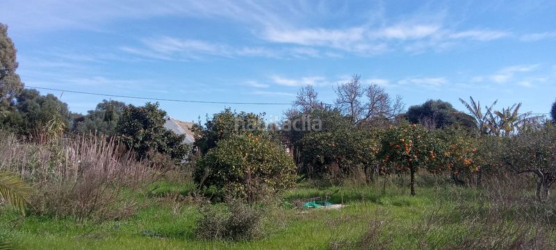Foto cecdeabd-3027-484f-bf22-366c83ce0ba5. Casale con parcheggio in Vejer Vejer de la Frontera