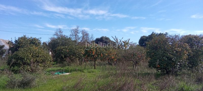 Foto d20e554b-3f40-4217-aab6-e455a65cf40f. Casale con parcheggio in Vejer Vejer de la Frontera