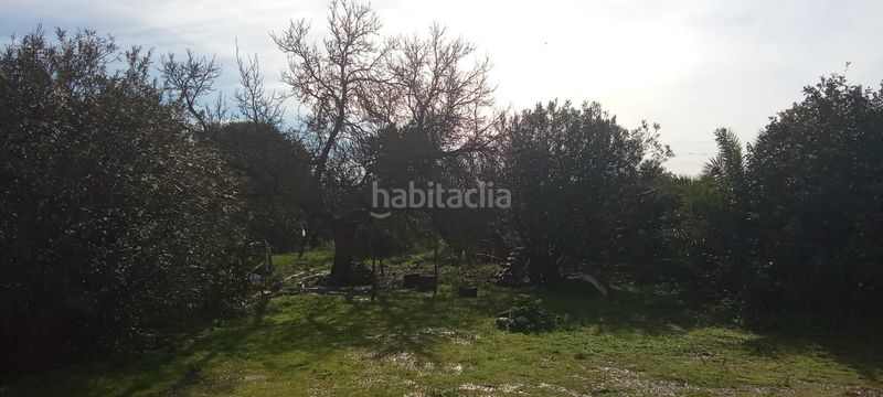 Foto d74a1400-c7ff-4281-bc0b-23e53c6bc043. Casale con parcheggio in Vejer Vejer de la Frontera