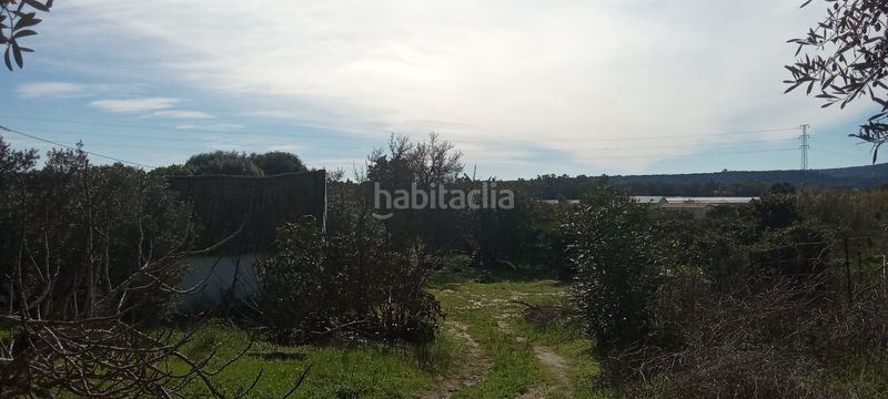 Foto e70877cd-43c4-4279-8540-13398bf968bf. Casale con parcheggio in Vejer Vejer de la Frontera