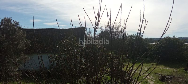 Foto eca0b8b9-642e-43d2-b840-52883d36470c. Casale con parcheggio in Vejer Vejer de la Frontera