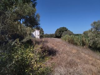 Fondo rustico in Zahora. Finca rústica muy cerca de la playa