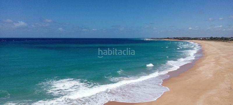Foto 7c0941c7-fb5f-44fd-8356-7ee3b0e0f37e. Finca rústica a Zahora Barbate