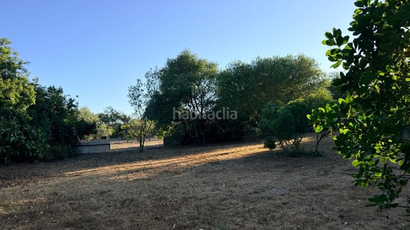 Foto d7367cd7-f9c6-4d4d-9f62-aebcc138e990. Casale con camino riscaldamento parcheggio in Vejer Vejer de la Frontera
