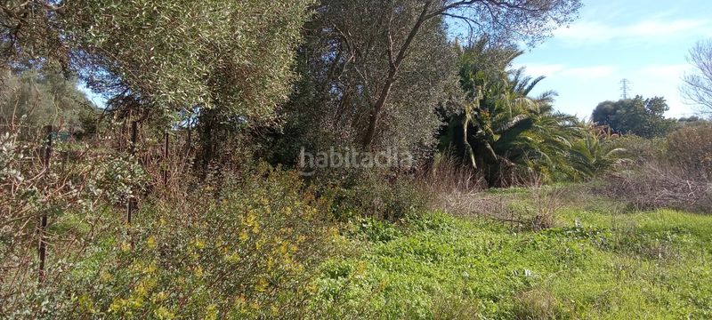 Foto 1d5ca503-fcd0-4b55-85b9-b9976c8f1d05. Mas dans Vejer Vejer de la Frontera