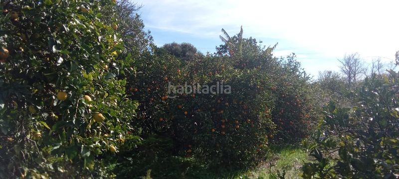 Foto 1d843920-b38d-45ff-a378-4ab4fa8417f1. Mas dans Vejer Vejer de la Frontera