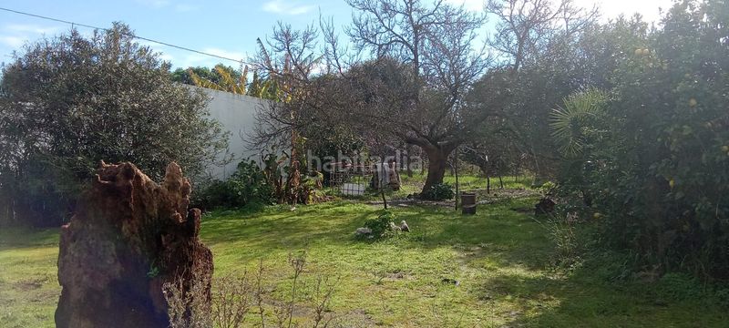 Foto 39ff07ca-39ab-461e-beca-08ac0c5f7f71. Mas dans Vejer Vejer de la Frontera