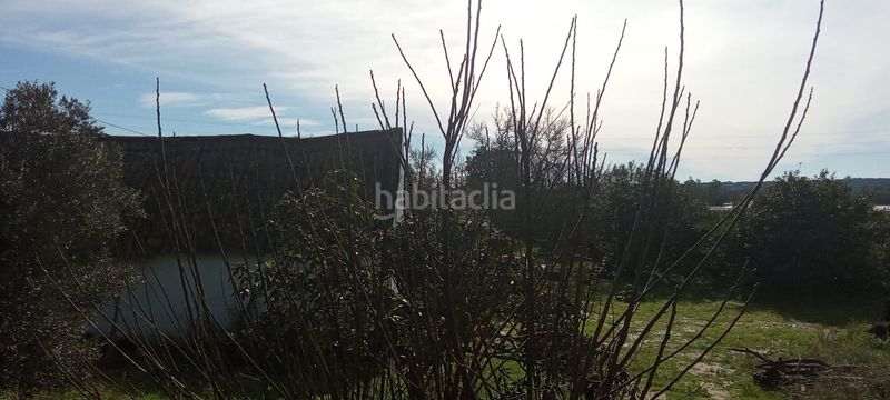 Foto 7fe44369-c61b-450d-a74c-210aff15c382. Mas dans Vejer Vejer de la Frontera