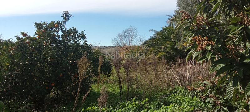 Foto 9198d276-3c36-4b8b-8451-b496d489d7f0. Mas dans Vejer Vejer de la Frontera
