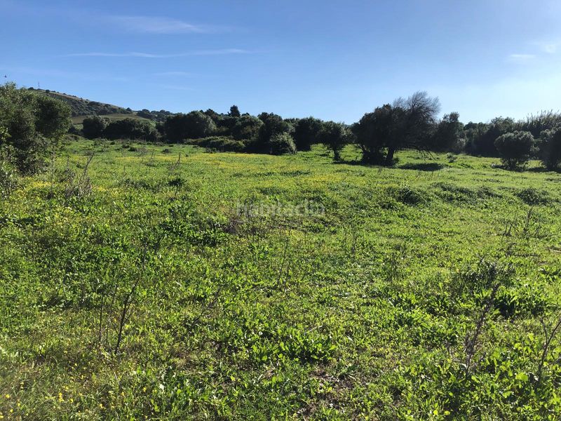 Foto 8f6b0888-abc9-4476-a274-d1916862661b. Mas avec parking dans Vejer Vejer de la Frontera