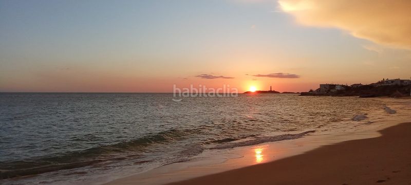 Foto ce0b33d7-6f13-4059-bb85-64a5c4cd0bdf. Masia amb xemeneia aparcament piscina a Los Caños de Meca Barbate