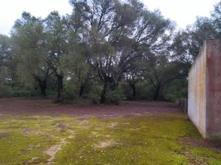 Propriété  N/a. Espectacular finca agrícola-ganadera destinada a caza menor.