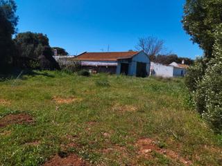 Masia  N/a