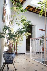 House  Calle marqués de tamarón