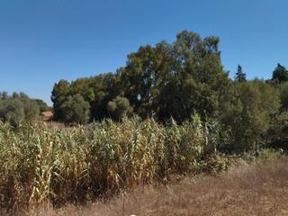 Finca rústica a N/a