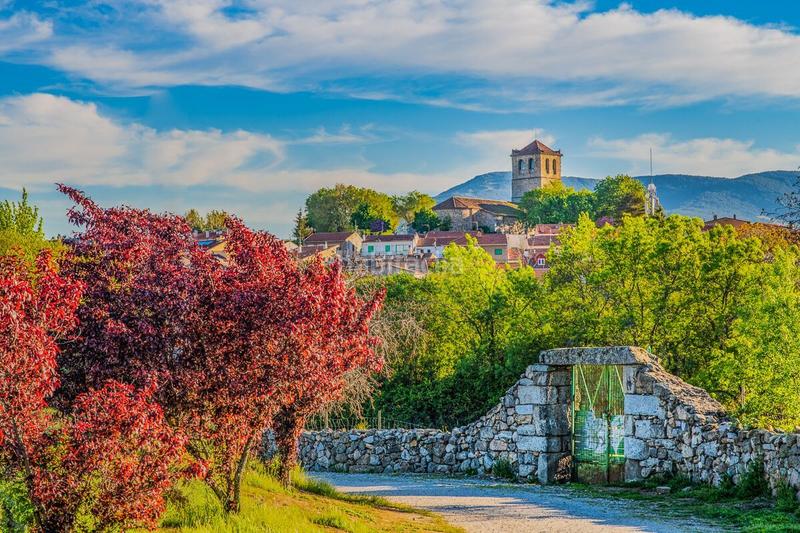 Foto 071218a1-e49b-47cb-8faf-790dfd9bd08a. Location bureau dans Guadarrama