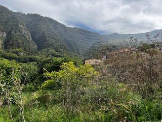 Finca rústica  Calle cuatro cantillos. Finca con salón que puede ser usado como vivienda y construir un