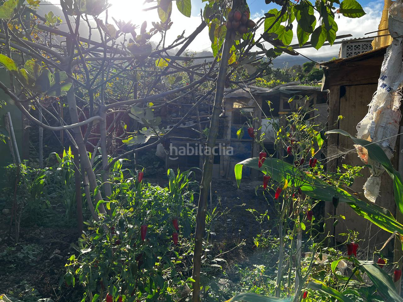 Foto 015b803d-b203-4b31-bf26-076318cb39ae. Casale in El Bebedero - Pinolere - Aguamansa Orotava (La)