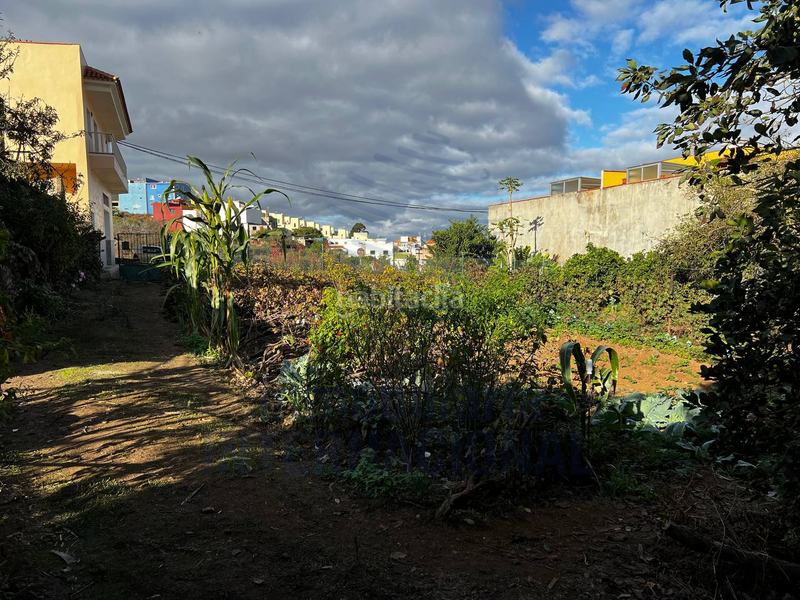 Foto b4f92169-970f-47e6-bc95-30e3ad3351f8. Casale in El Bebedero - Pinolere - Aguamansa Orotava (La)