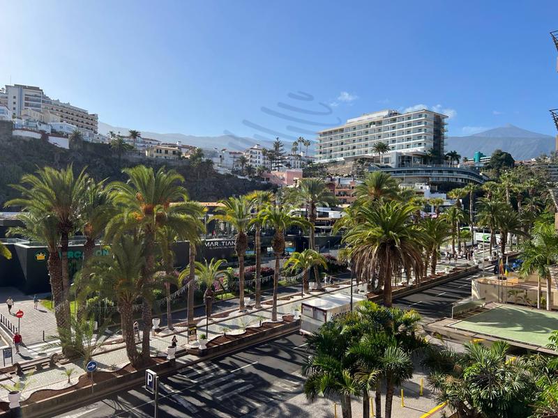 Foto 249f8fe5-bead-480c-b910-931e2739bc0d. Appartement dans avenida aguilar y quesada 3 dans Zona Botánico Puerto de la Cruz