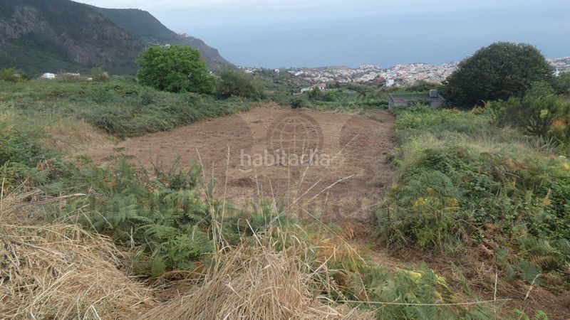 Foto 2e399be5-203b-408c-9afa-9bb074238390. Finca rústica a Palo Blanco Realejos (Los)