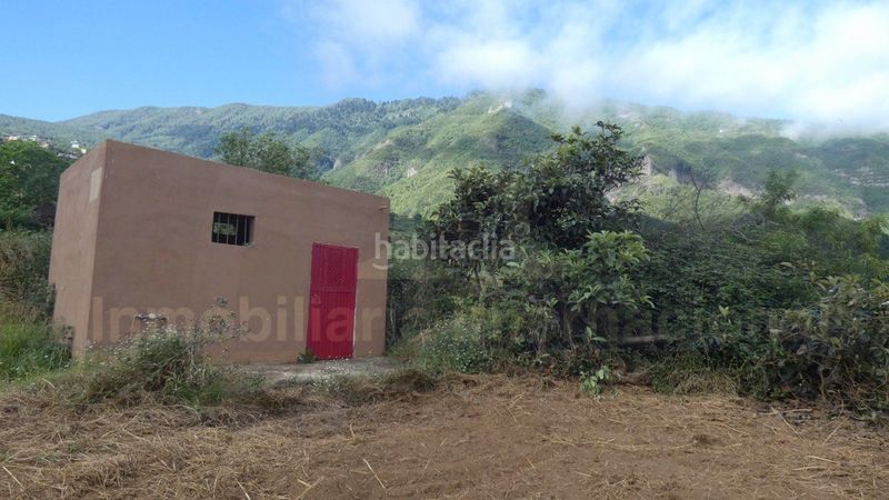 Foto 9b771258-c865-4ad2-ad8a-9bad829a9e09. Finca rústica a Palo Blanco Realejos (Los)