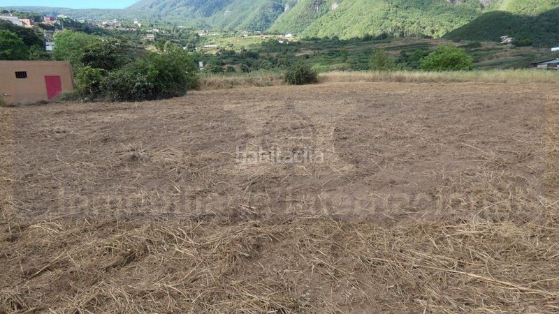 Foto f5c9836f-4874-4d7d-8189-ed0a8652f140. Finca rústica a Palo Blanco Realejos (Los)