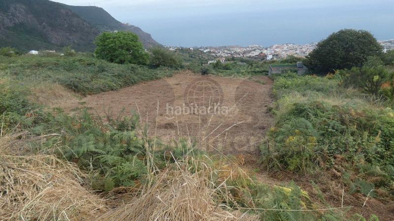 Foto 2e399be5-203b-408c-9afa-9bb074238390. Finca rústica en Palo Blanco Realejos (Los)