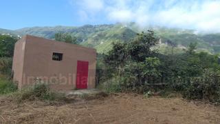 Propriété à Palo Blanco