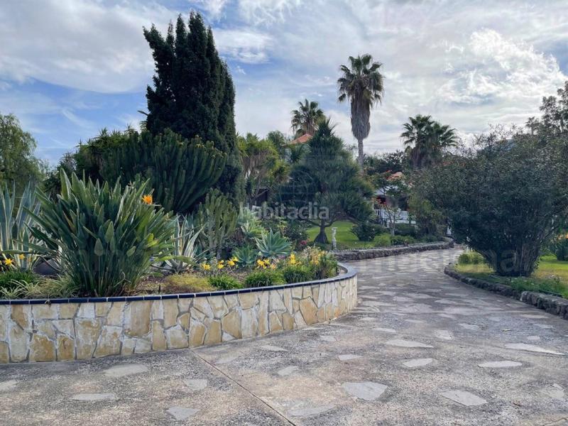 Foto 7eb70152-f04c-4b5f-82d3-cb6f8310f018. Xalet amb calefacció aparcament piscina a Buen Paso - La Mancha Icod de los Vinos